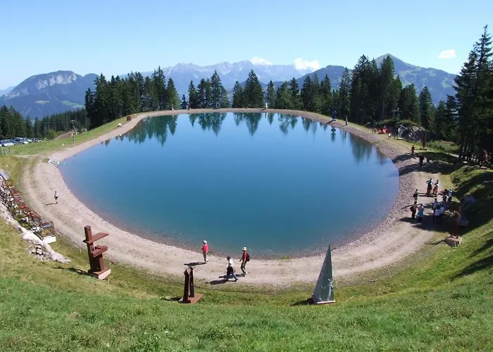 施维泽霍夫酒店 奥伯劳